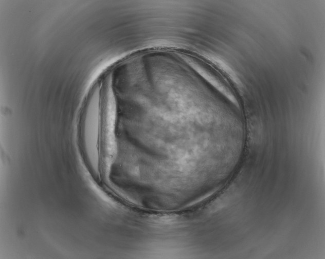 X0000090630991200708071242