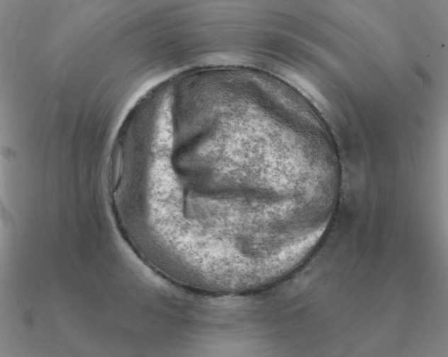 X0000090630992200708071242