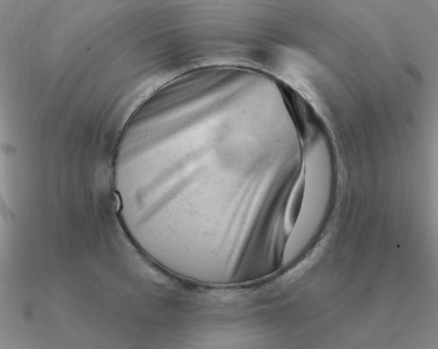 X0000090630993200708071242