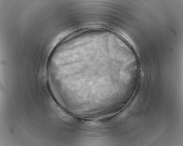 X0000090630994200708071242