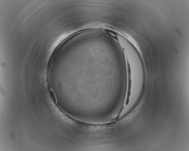 X0000090630997200708071242