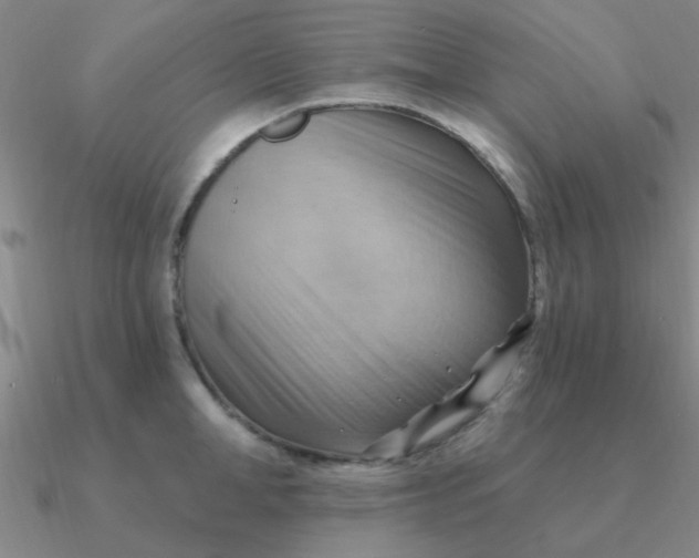 X0000090630998200708071242