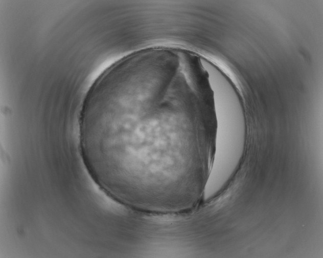 X0000090630999200708071242