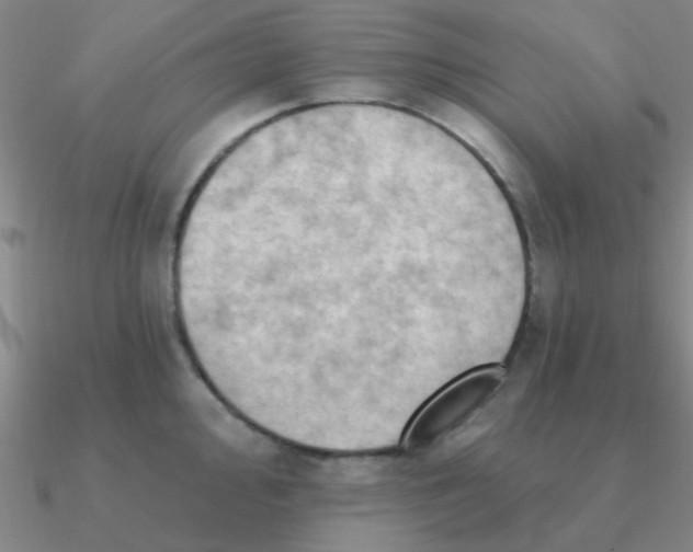 X0000090631000200708071242