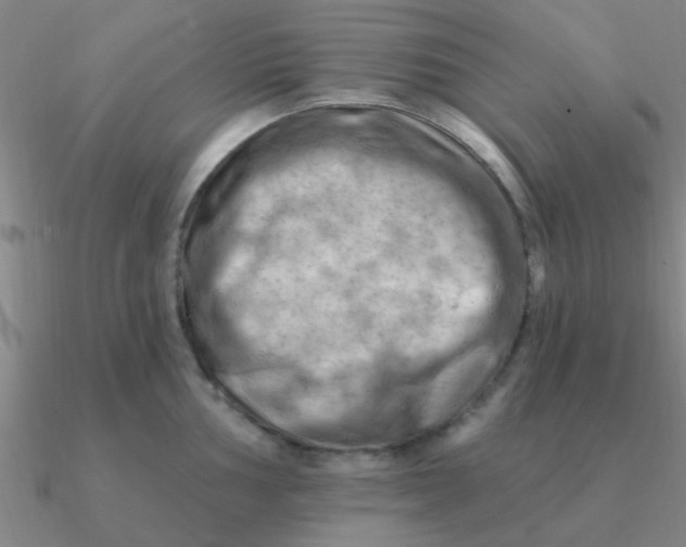 X0000090631002200708071242