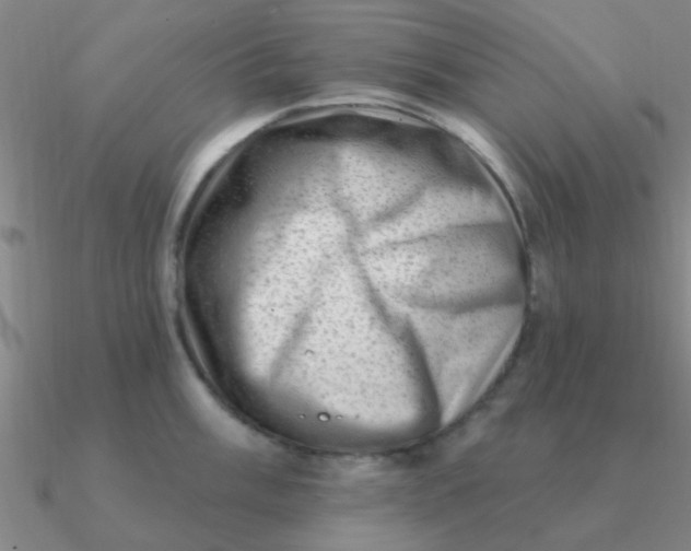 X0000090631003200708071242