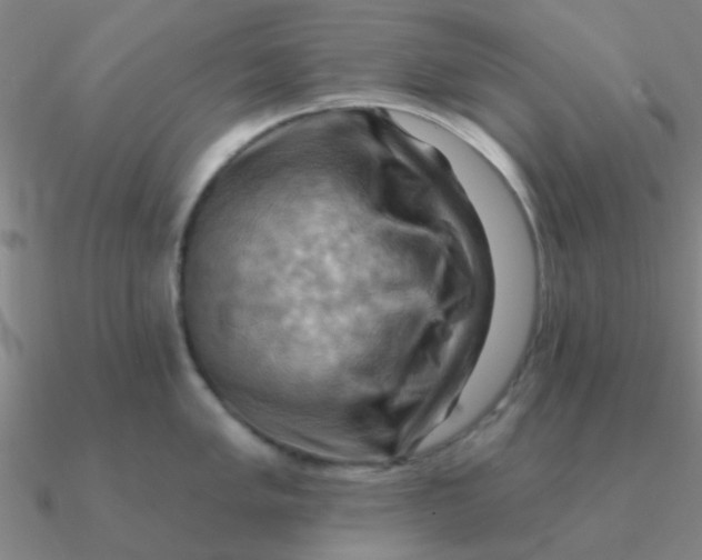 X0000090631005200708071242