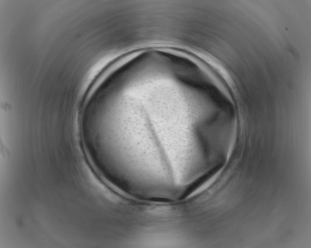 X0000090631006200708071242