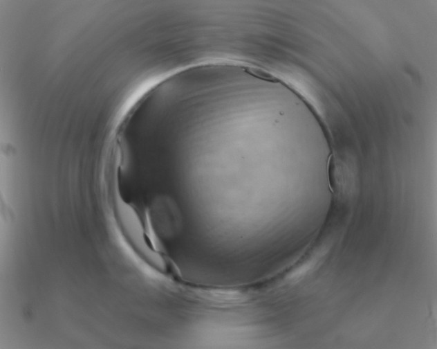 X0000090631007200708071242