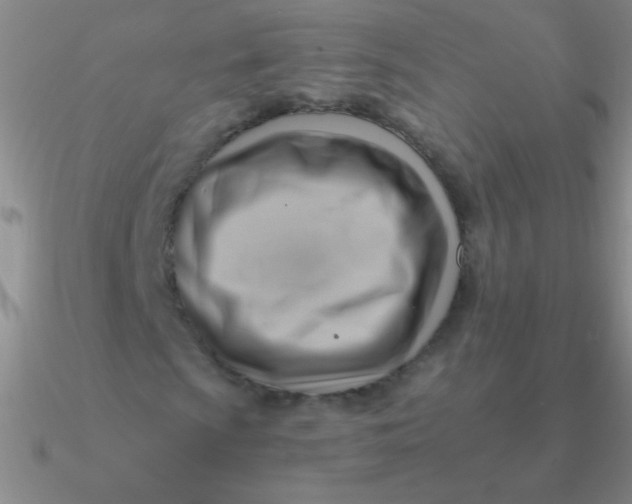 X0000090631009200708071241