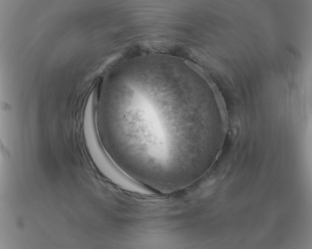 X0000090631010200708071241