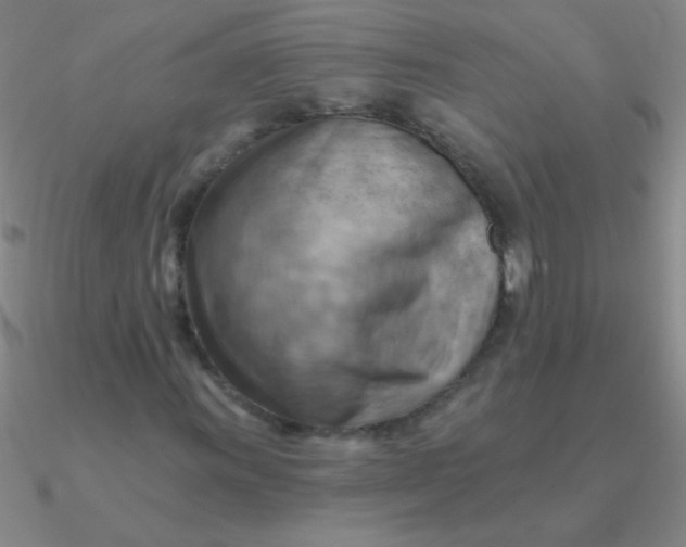 X0000090631011200708071241