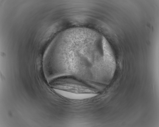 X0000090631012200708071241