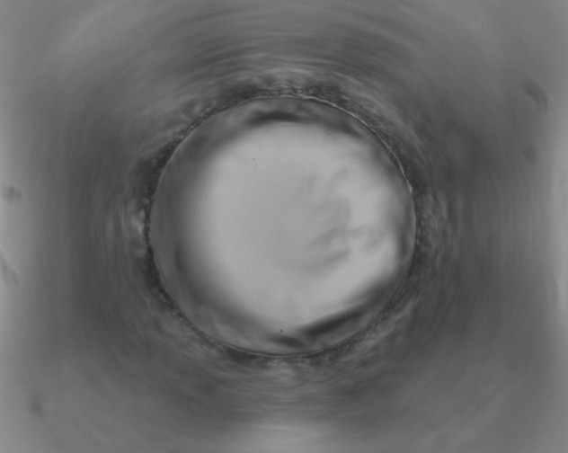 X0000090631013200708071241