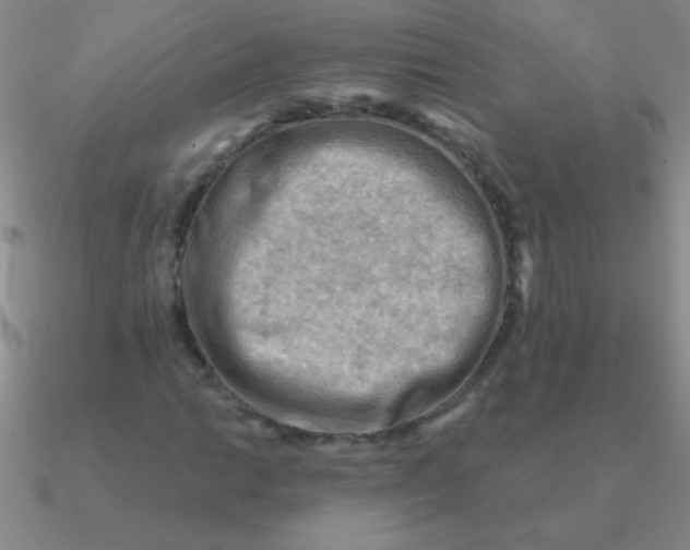 X0000090631014200708071241