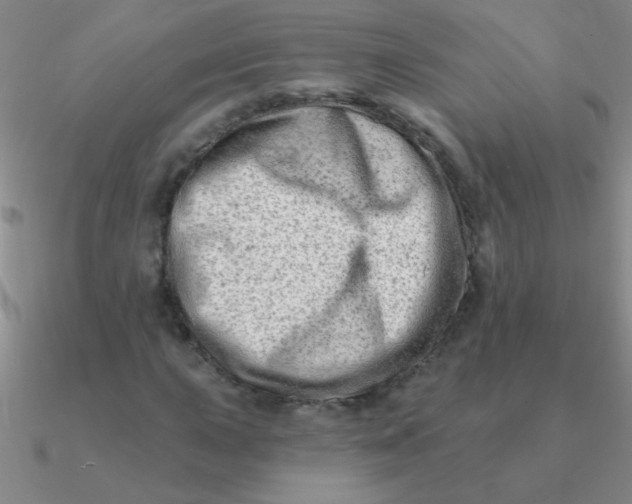 X0000090631015200708071241