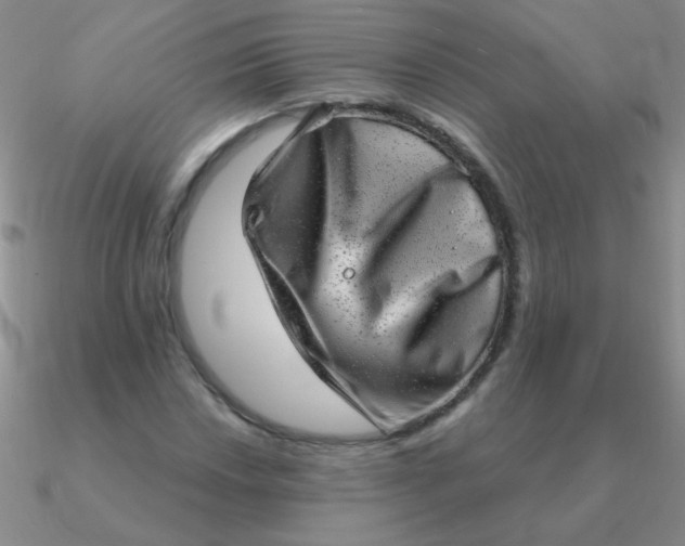 X0000090631018200708071241