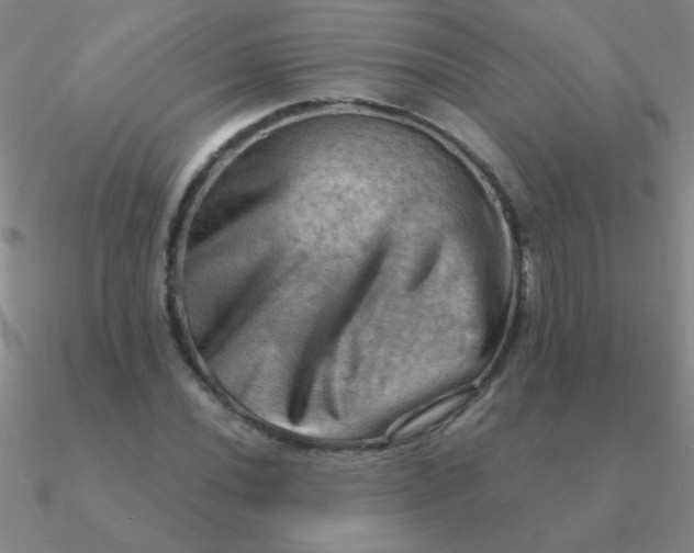 X0000090631020200708071241