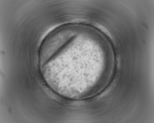 X0000090631021200708071241