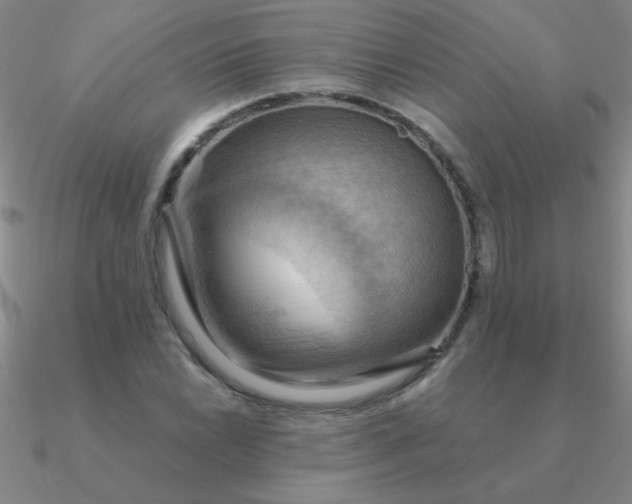 X0000090631022200708071241