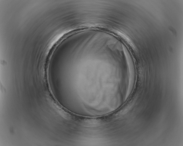 X0000090631023200708071241