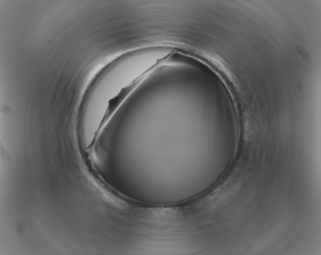 X0000090631024200708071241