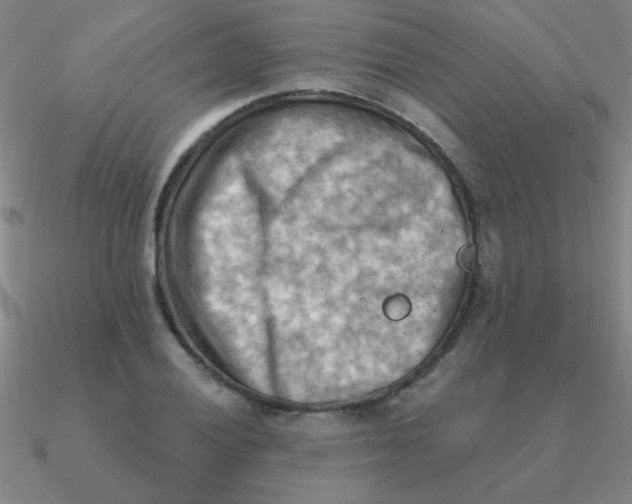 X0000090631028200708071241