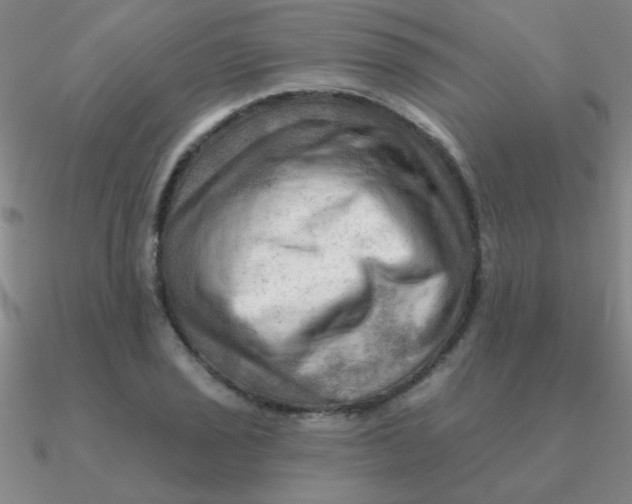 X0000090631029200708071241