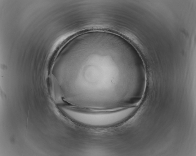 X0000090631030200708071241