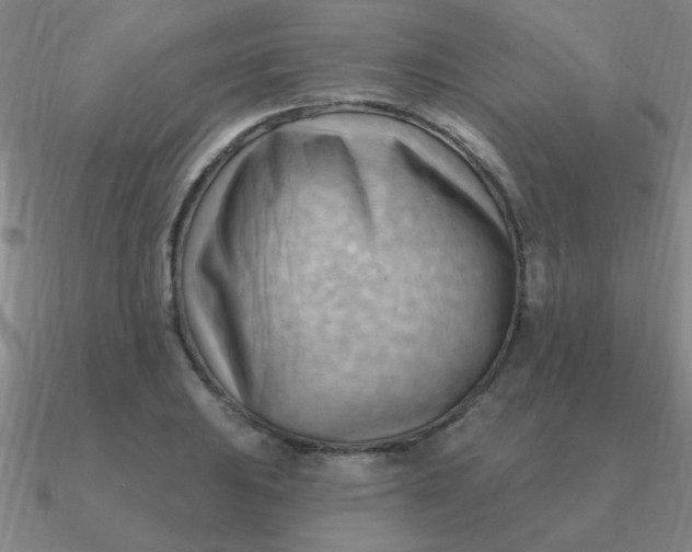 X0000090631031200708071241