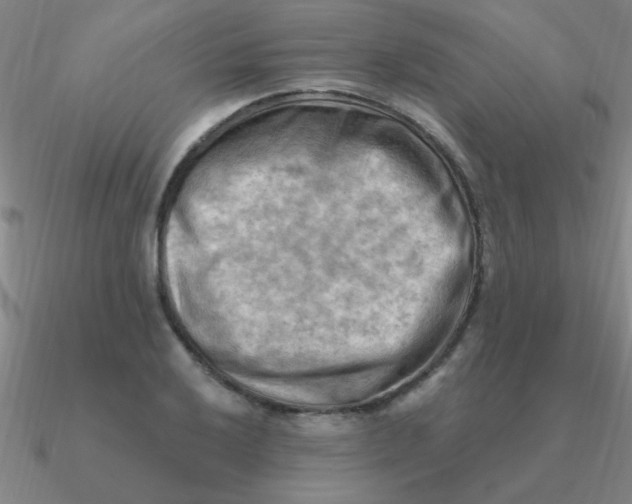 X0000090631032200708071241