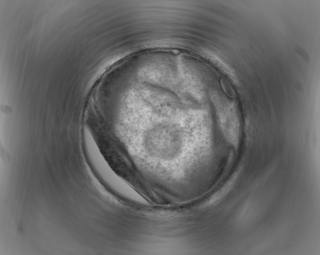 X0000090631033200708071241