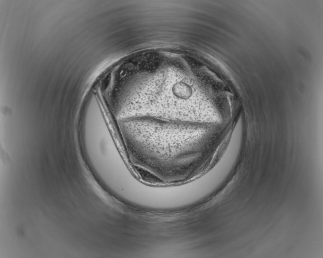 X0000090631034200708071241