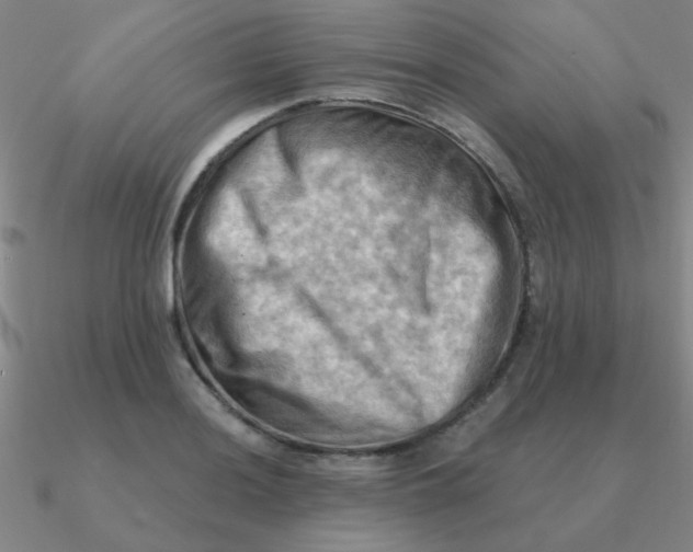 X0000090631036200708071241