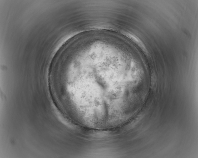 X0000090631039200708071242