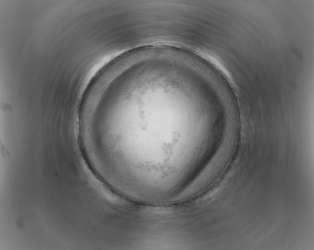 X0000090631040200708071242