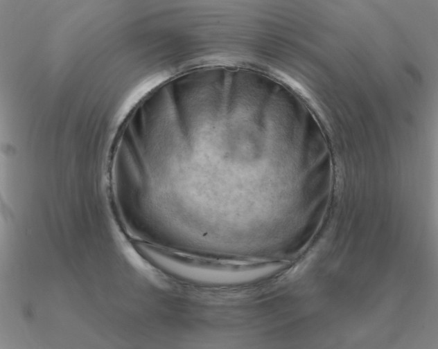 X0000090631042200708071242