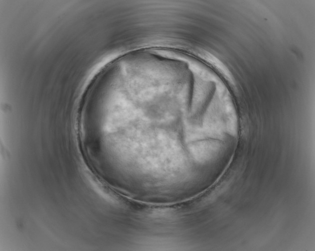 X0000090631043200708071242