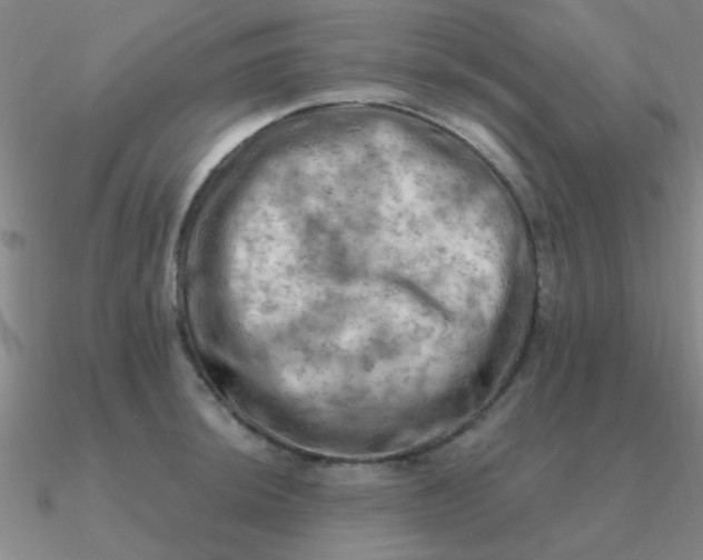 X0000090631044200708071242