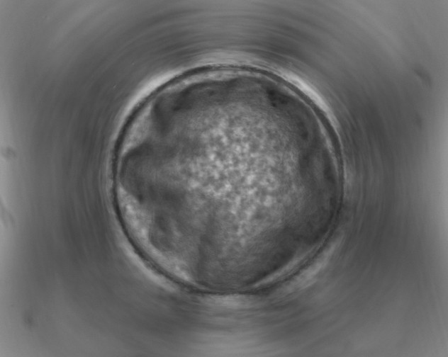 X0000090631045200708071242