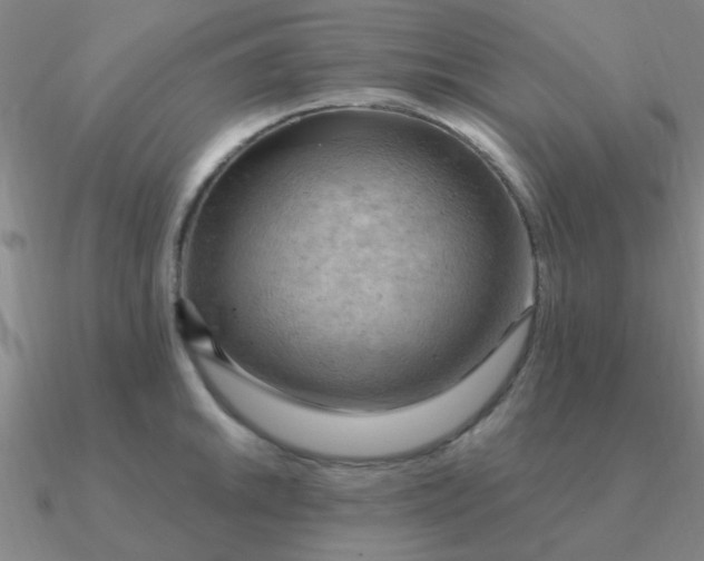 X0000090631046200708071242