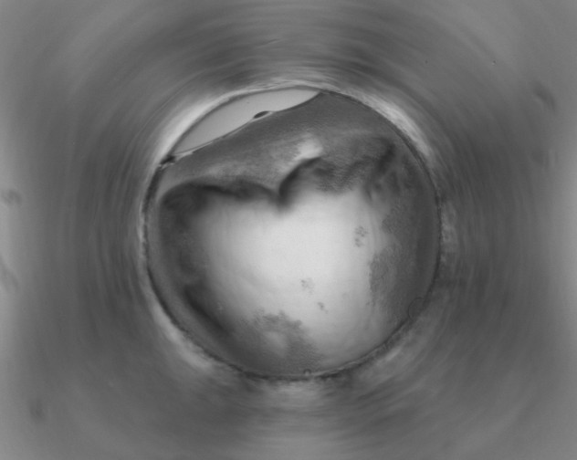 X0000090631047200708071242