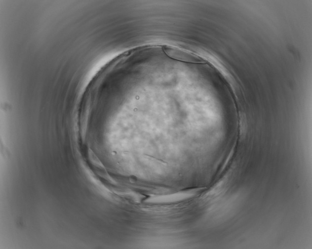 X0000090631048200708071242