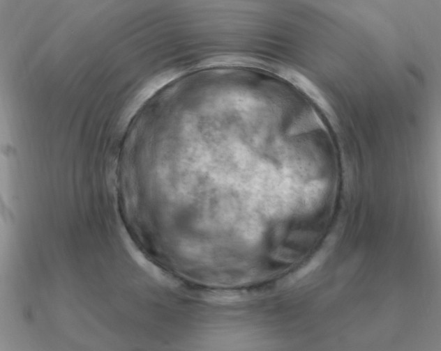 X0000090631049200708071242