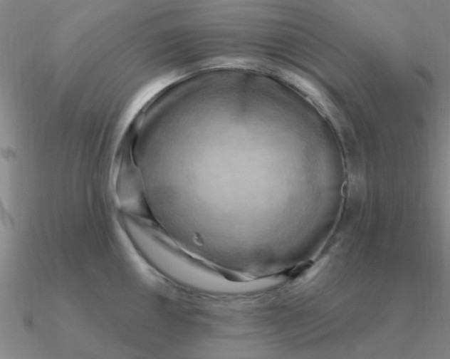 X0000090631050200708071242