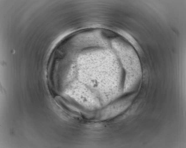 X0000090631051200708071242