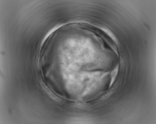 X0000090631052200708071242