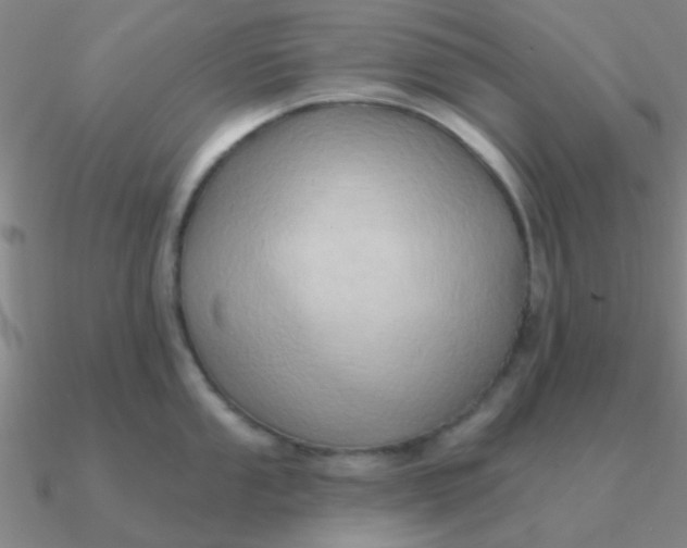 X0000090631053200708071242