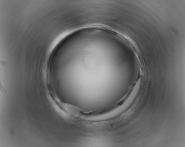 X0000090631054200708071242