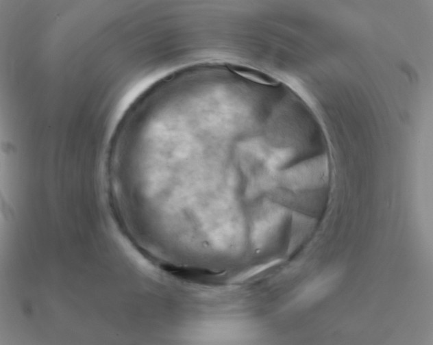 X0000090631056200708071242